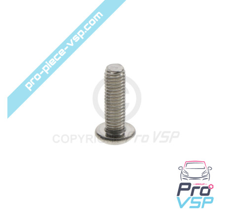 Door panel fixing screw