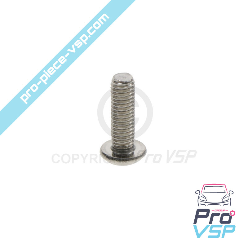 Door panel fixing screw