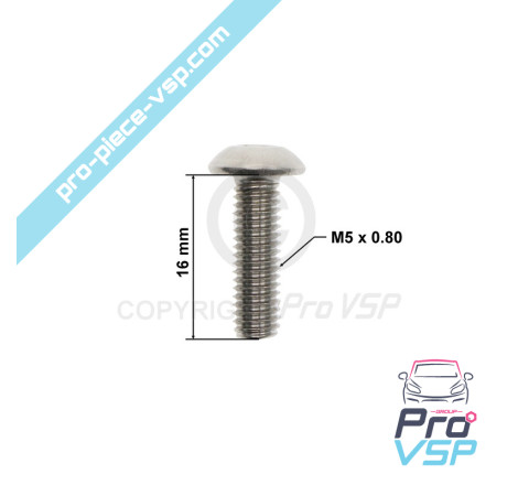 Door panel fixing screw