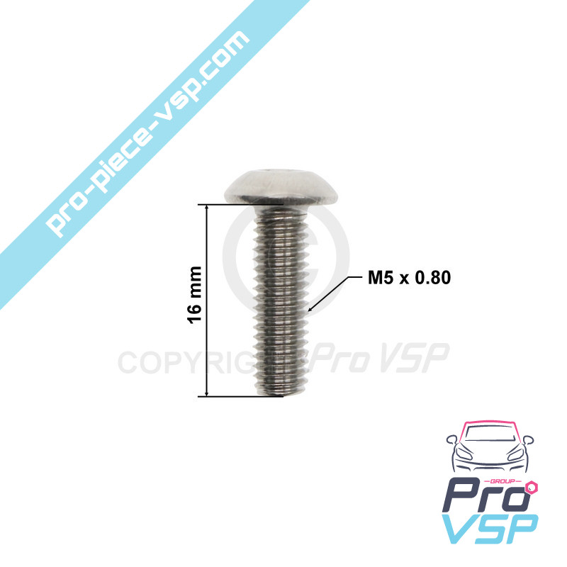 Door panel fixing screw