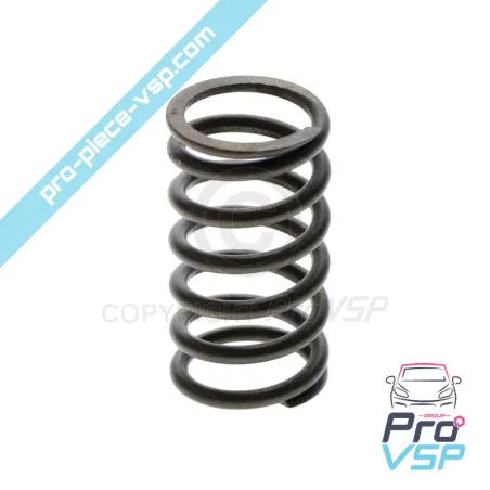 Valve spring