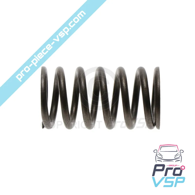 Valve spring