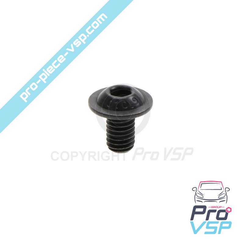 M6x10 curved head screw