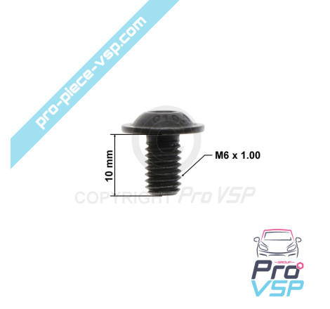 M6x10 curved head screw