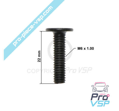 Bumper fixing screw