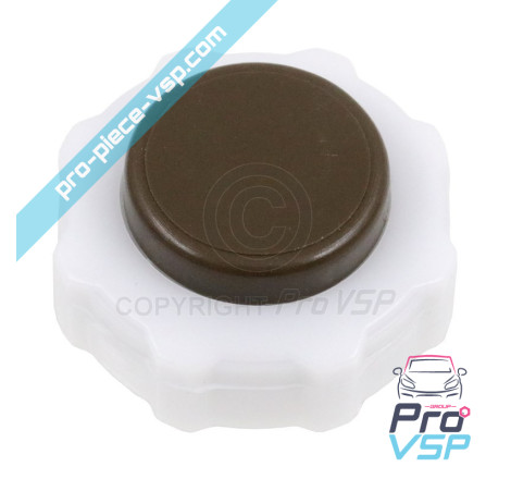 Expansion vase plug