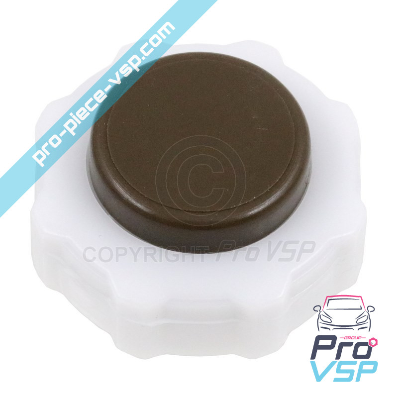 Expansion tank cap