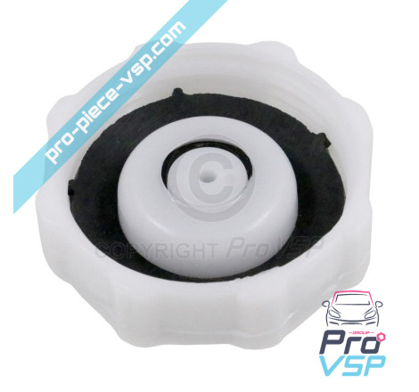 Expansion vase plug