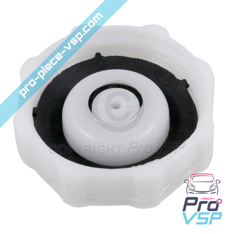 Expansion vase plug