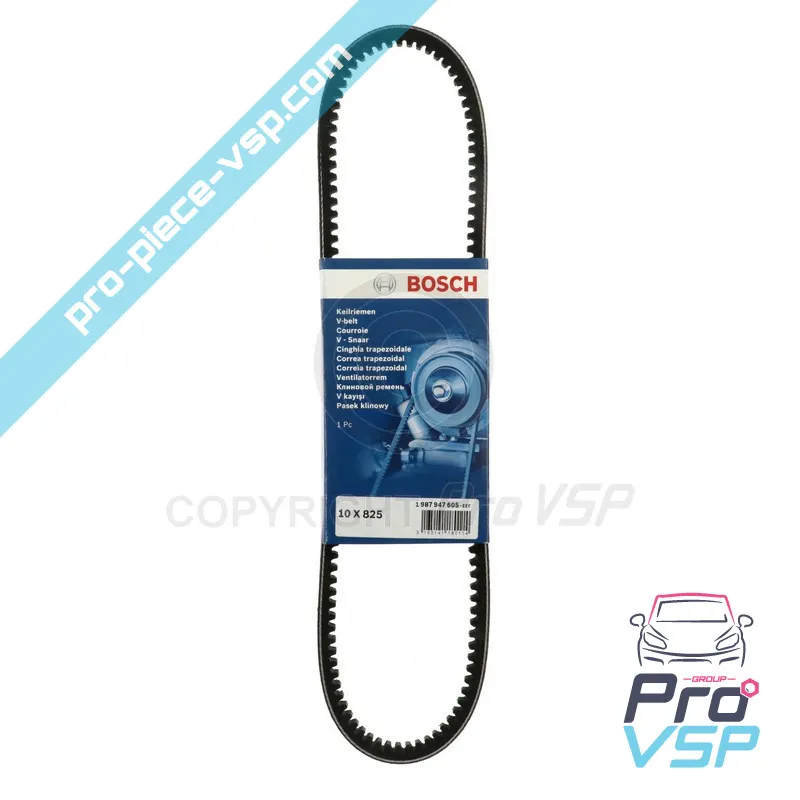 Alternator belt