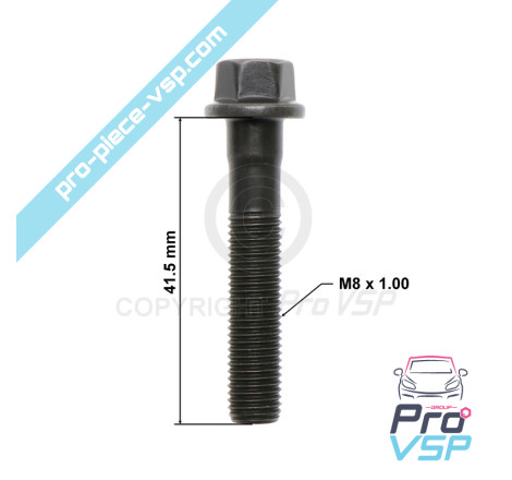 Tornillo de biela