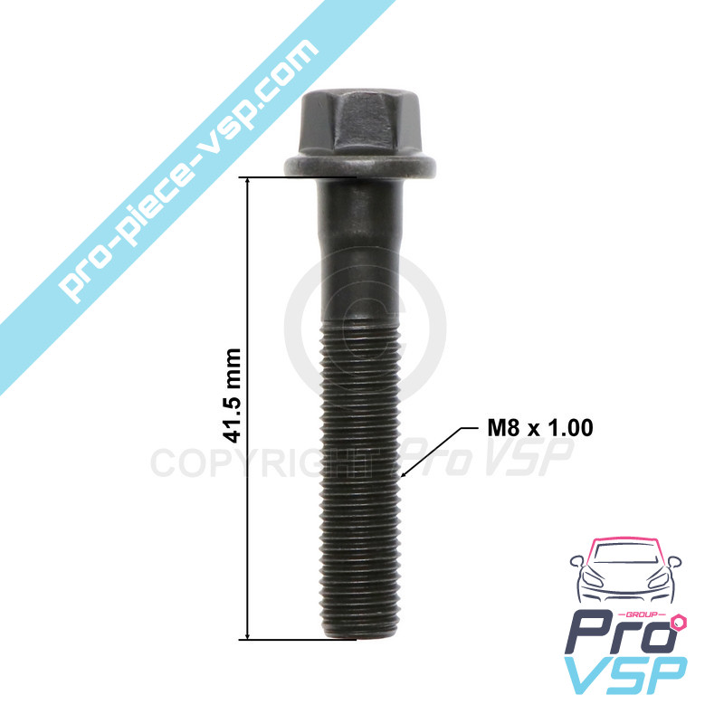 Tornillo de biela