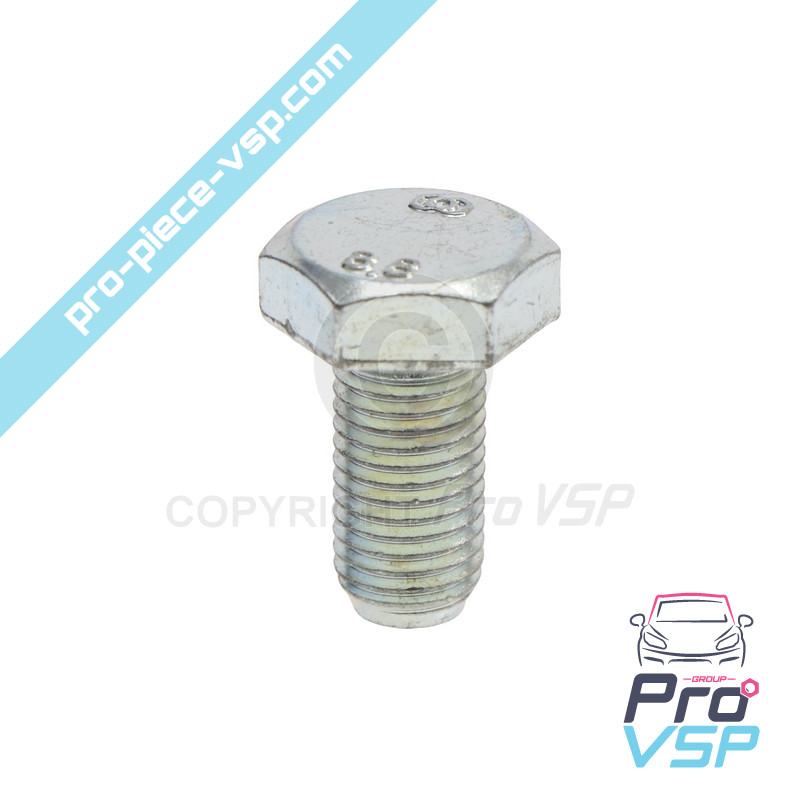 Left motor support screw