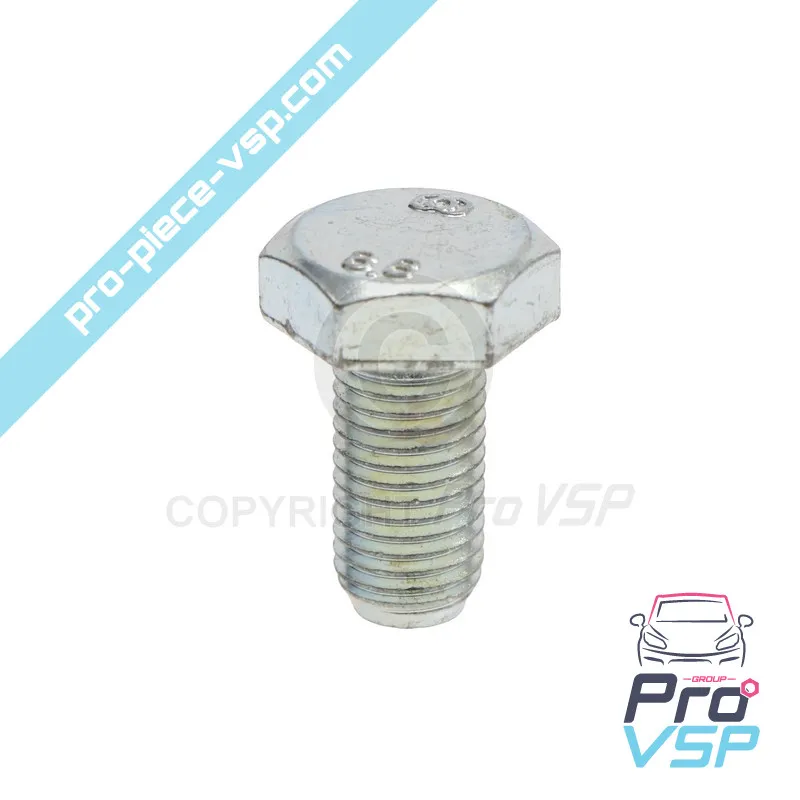 Vite di supporto a motore...