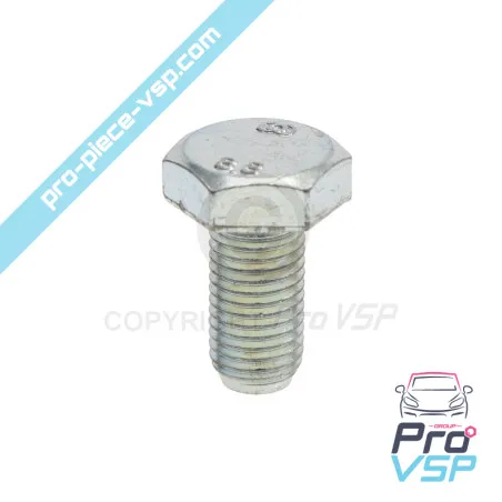 Left motor support screw