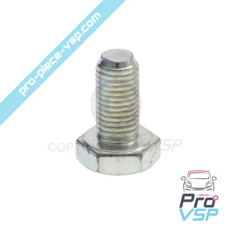 Left motor support screw