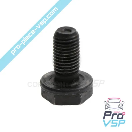 Tornillo de soporte del motor derecho