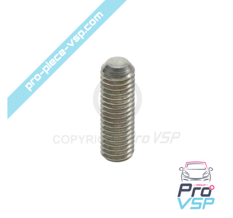 Axe of rear brake pads