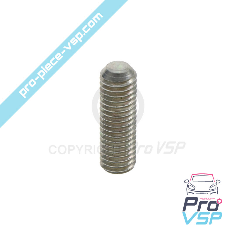 Axe of rear brake pads