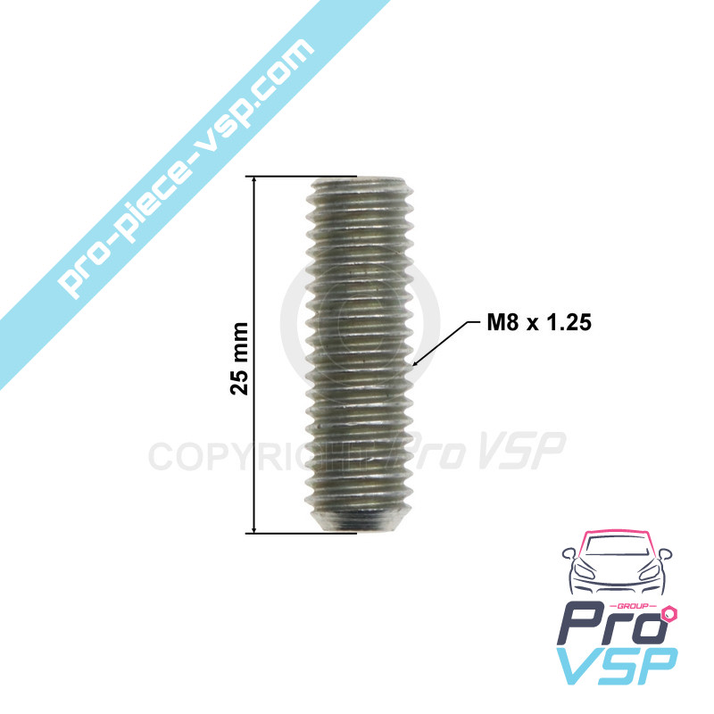 Axe of rear brake pads