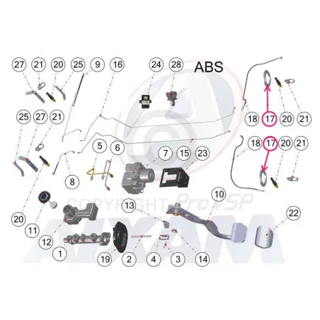 ABS Crown
