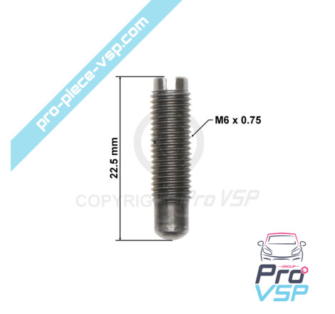 Screw control screw