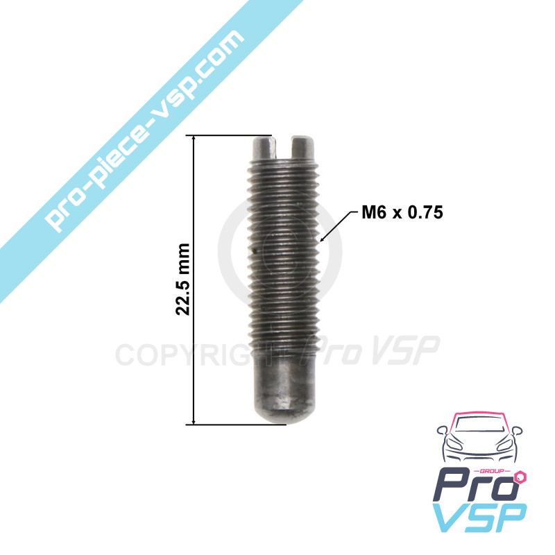 Screw control screw