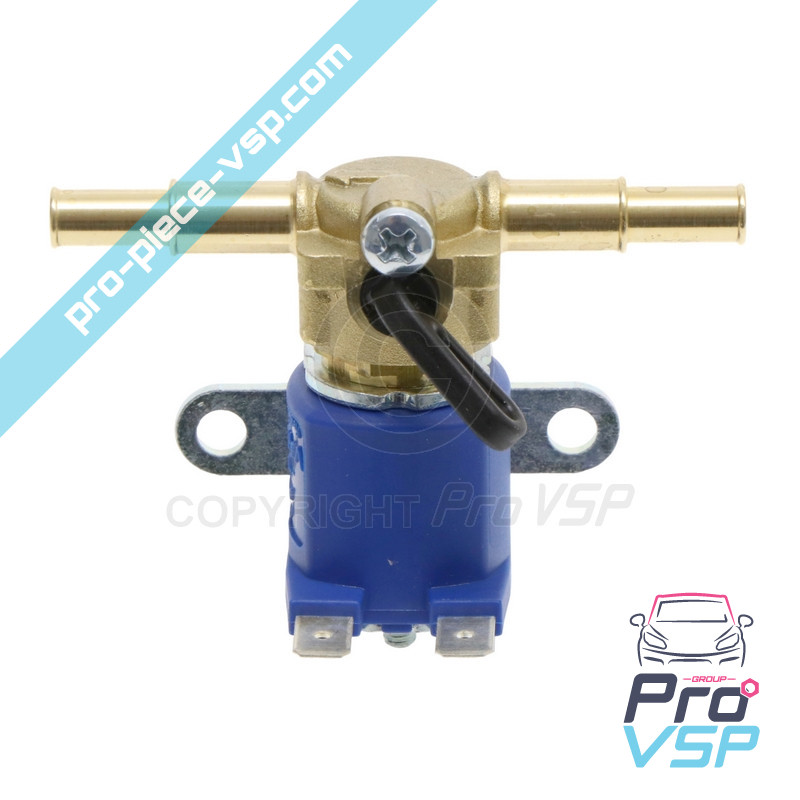 Gasoil pump valve