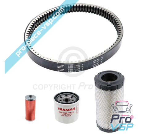 Kit de mantenimiento original