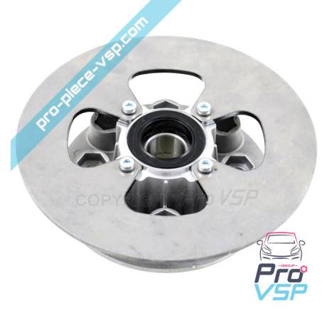 Complete rear brake disc