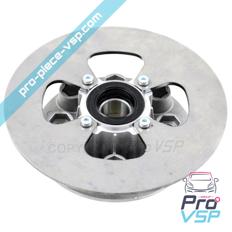 Complete rear brake disc