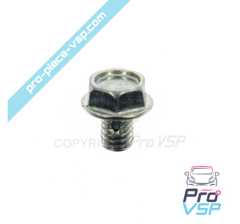 Injection pump purge screws