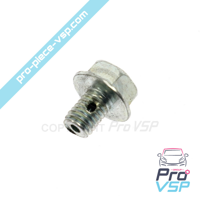 Injection pump purge screws