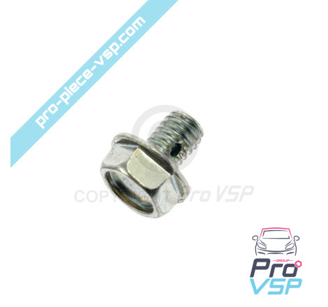 Injection pump purge screws