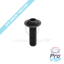 Head screw curved M6x20