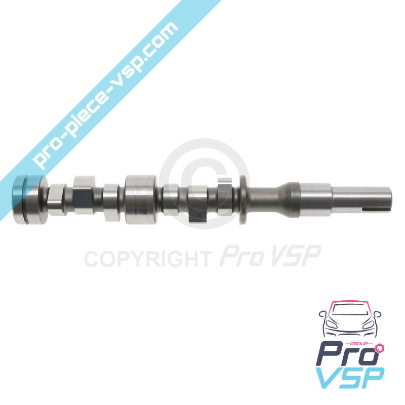 Arbre à câmes pour moteur Lombardini Focs Progress 502