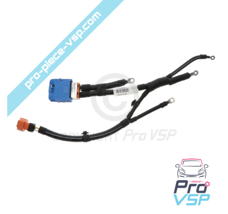 Faisceau batterie haute tension pour Citroën Ami / Deuxième montage