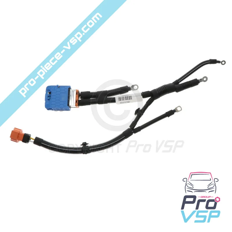 Faisceau batterie haute tension pour Citroën Ami / Deuxième montage