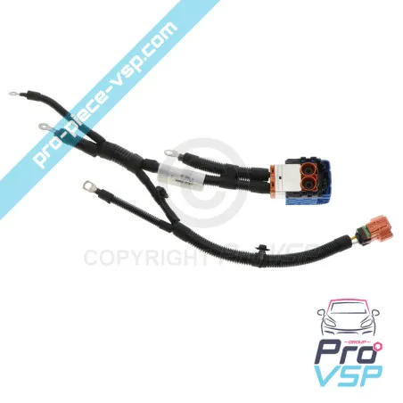 Faisceau batterie haute tension pour Citroën Ami / Deuxième montage