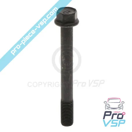 Cylinder head screw for casalini