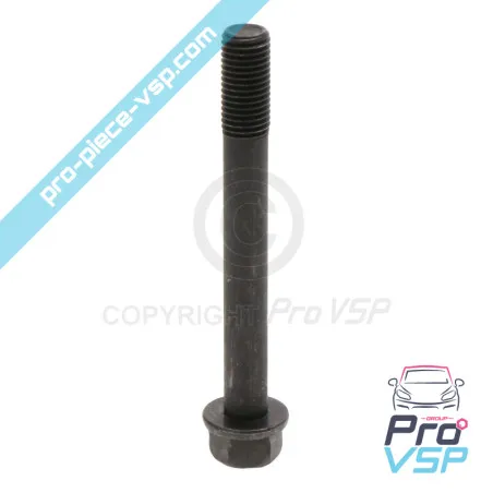 Cylinder head screw for casalini