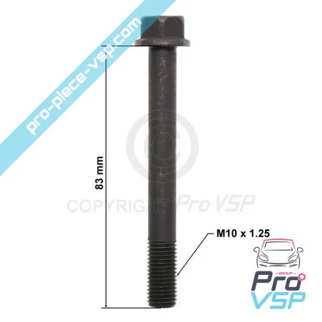Cylinder head screw for casalini
