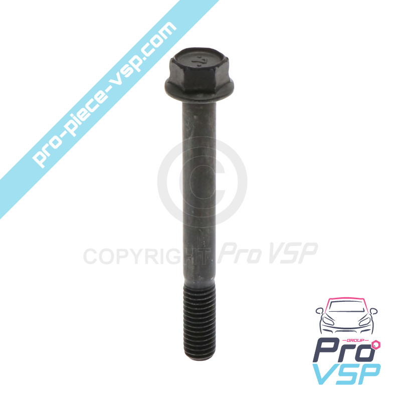 Cylinder head screw