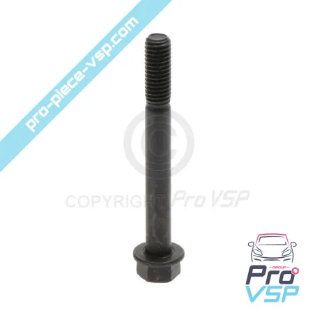 Cylinder head screw for casalini