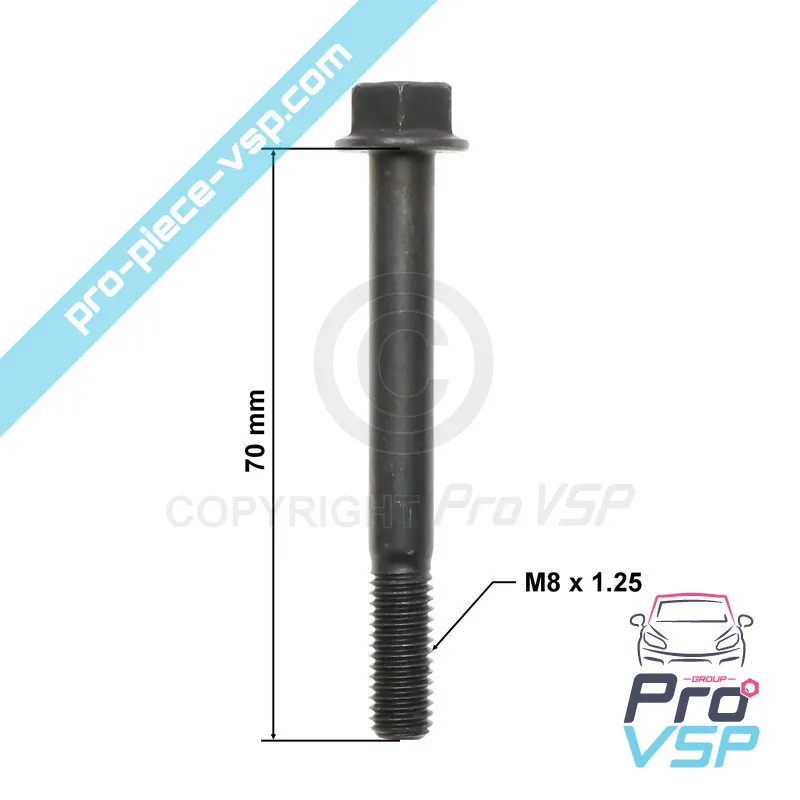 Cylinder head screw for casalini