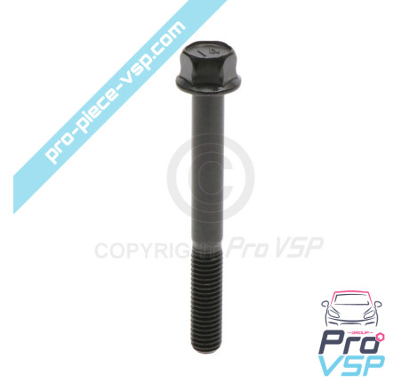 Cylinder head screw