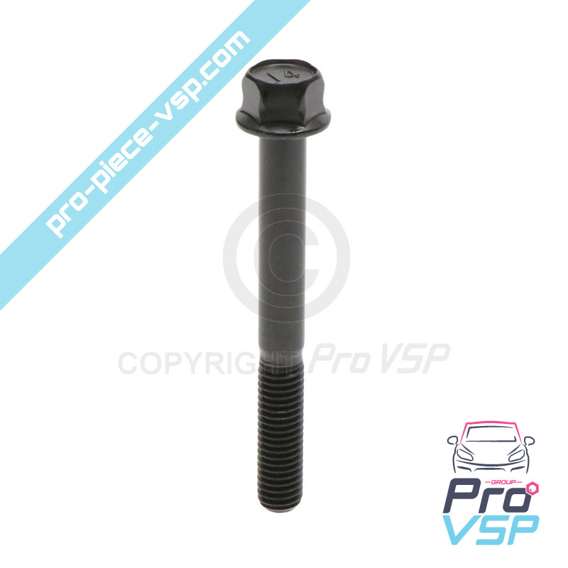 Cylinder head screw