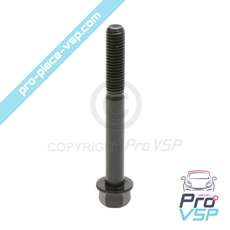 Cylinder head screw