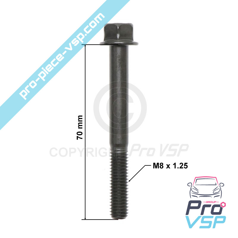 Cylinder head screw