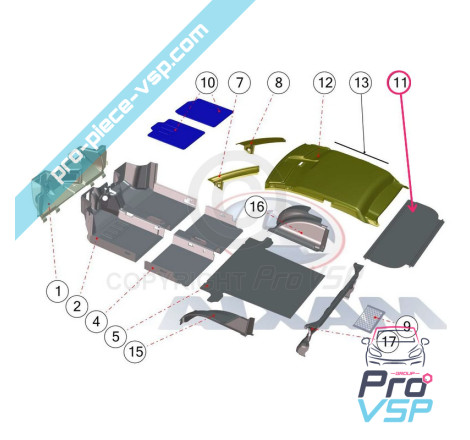 Area posteriore